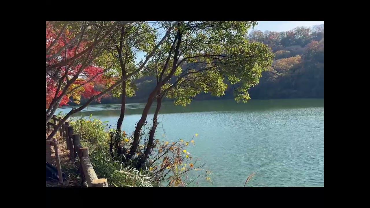 阪神そぞろ歩き　晩秋の紅葉を見ながら鈴蘭台駅から新開地までを歩く