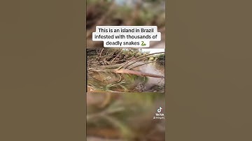 Tempat Terlarang yang Tidak Boleh Kamu Kunjungi 🚫 #shorts #tiktok
