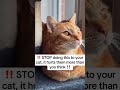 #cat mom #cat #catshorts #cats #catsofusa #catlovers #catlove #cathealth #catparent #cathealthtips