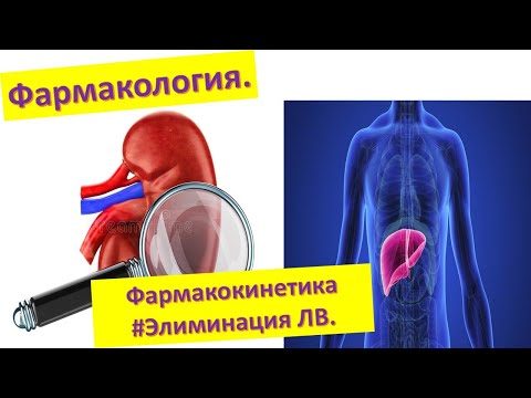 Видео: Является ли кинетика первого порядка линейной?