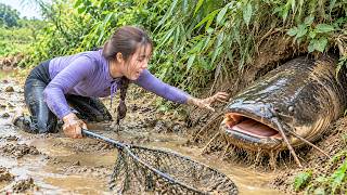 Wild Carp & Giant Catfish Caught from Hidden Creek | Harvesting & Cooking Fresh Corn for Nhi & Khoi