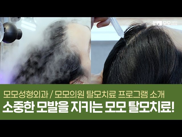 소중한 모발을 지키는 모모 탈모치료 프로그램 소개 | 모모성형외과 | 모모의원