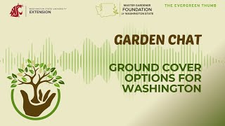 Garden Chat: Top Ground Cover Options for Washington State