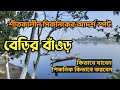 BERI BAOR GOBARDANGA।। বেড়ির বাওড় গোবরডাঙ্গা ।। ONE DAY PICNIC SPOT NEAR KOLKATA
