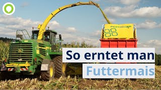 Wie Ein Landwirt Aus Altendorf Bei Pressath 24 Hektar Futtermais Erntet