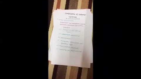 Aud 339 audit programme