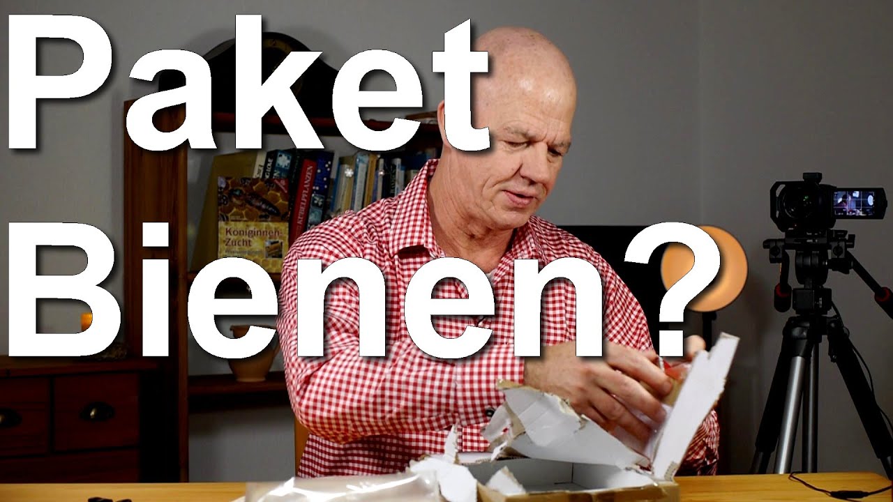 wem gehГ¶rt die natur wem gehГ¶rt die natur