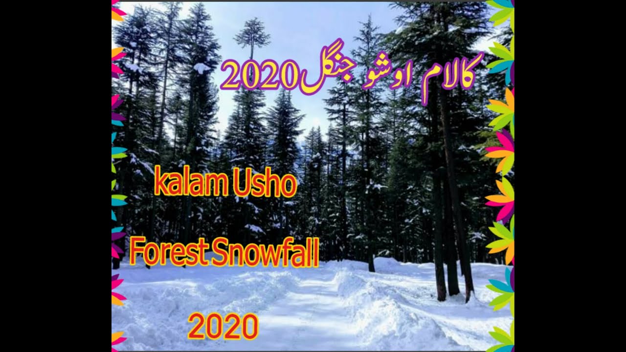 Drifting in Snowfall At Kalam || Ushu Forrest || Pk Tour Planner Pakistan 2020