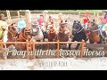 A Day with the Lesson Horses || Schleich Horse Movie || Lakeside Equestrian Centre Series || Ep 1 ||