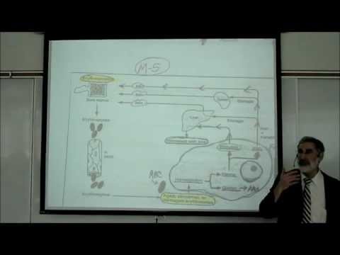 THE LIVER, GALLBLADDER & PANCREAS by Professor Fink