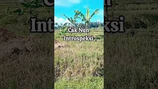 Cak Num, instropeksi #caknun #maiyah #motivasi