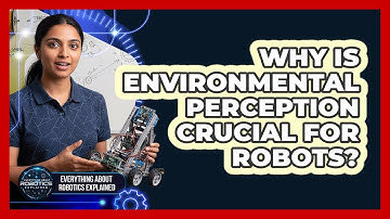 Why Is Environmental Perception Crucial For Robots?