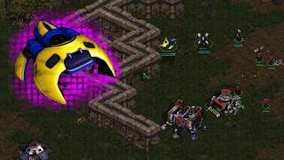 The ELEVATOR! - one of the OLDEST Protoss Cheeses!