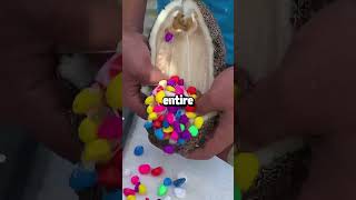 Why Are We Paying Him So Much? My New Vp Sneered At My Salary Before Restructuring My Role...