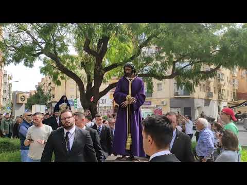 Antigua, Venerable Hermandad y Cofradía de Nazarenos de Nuestro Padre Jesús de la Soledad, Negaciones y Lágrimas de San Pedro, María Santísima del Dulce Nombre y San Francisco de Asís