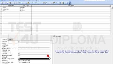 Set an index that will not allow duplicates in the Description field of the open table and...
