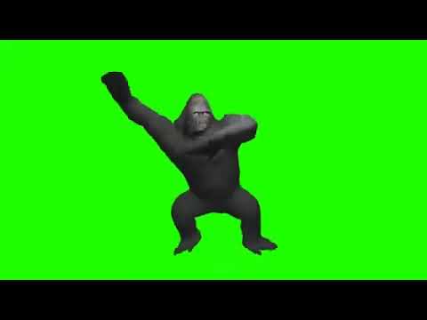 رياكشن غوريلا يرقص 