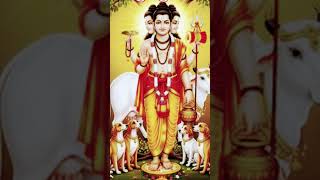 Dattaguru #dattatreya #trending #konkan #fashion #fishing #trending #travel #dream #dinner #interior