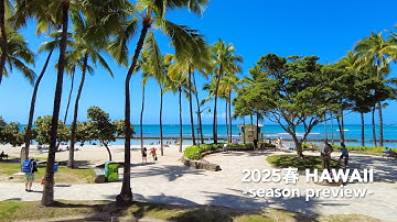 【予告】2025春ハワイひとり旅：グランドワイキキアン・リゾートビューのお部屋に滞在し、カアアワ・カフク・ハレイワ・カイムキ・カイルア・カカアコを旅する１週間 │ Hawaii Vlog