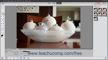 Photoshop Elements 2020 Tutorial The Panel Bin and Taskbar Adobe Training