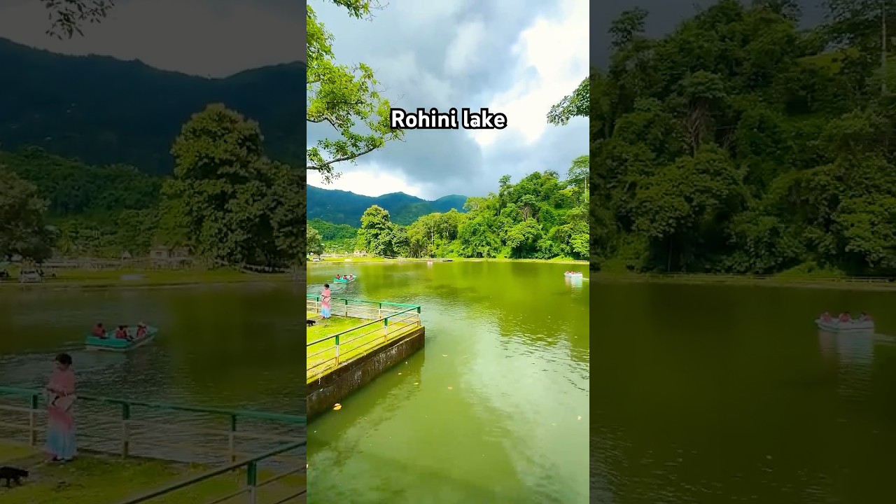 Rohini lake 23 km away from Siliguri #travel #darjeeling #kurseong #shortsvideo