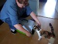 Tony en Izzy's first meeting