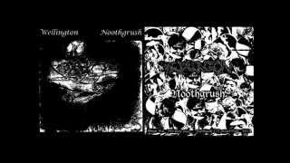 NOOTHGRUSH / WELLINGTON - Split 7 (1999)