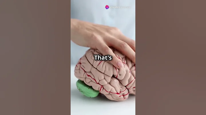 invideo ai 720 Funniest Facts About People You Won't Be