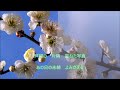 【新曲】「幾・春・秋」/真木ことみ cover 文夫(聖風) 2023年7月12日発売