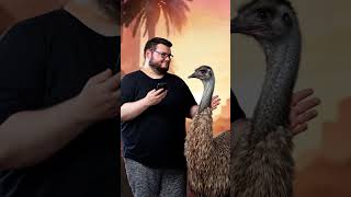 Frogger Vs Flats, Epilogue #froggerow #australian #aivideo #flats