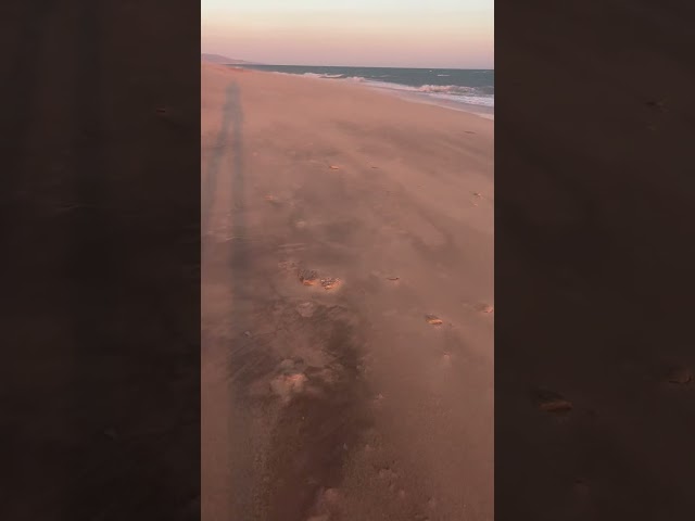Así suena a esta hora la costa de Cádiz. Como se suele decir, sobran las palabras. #lacost