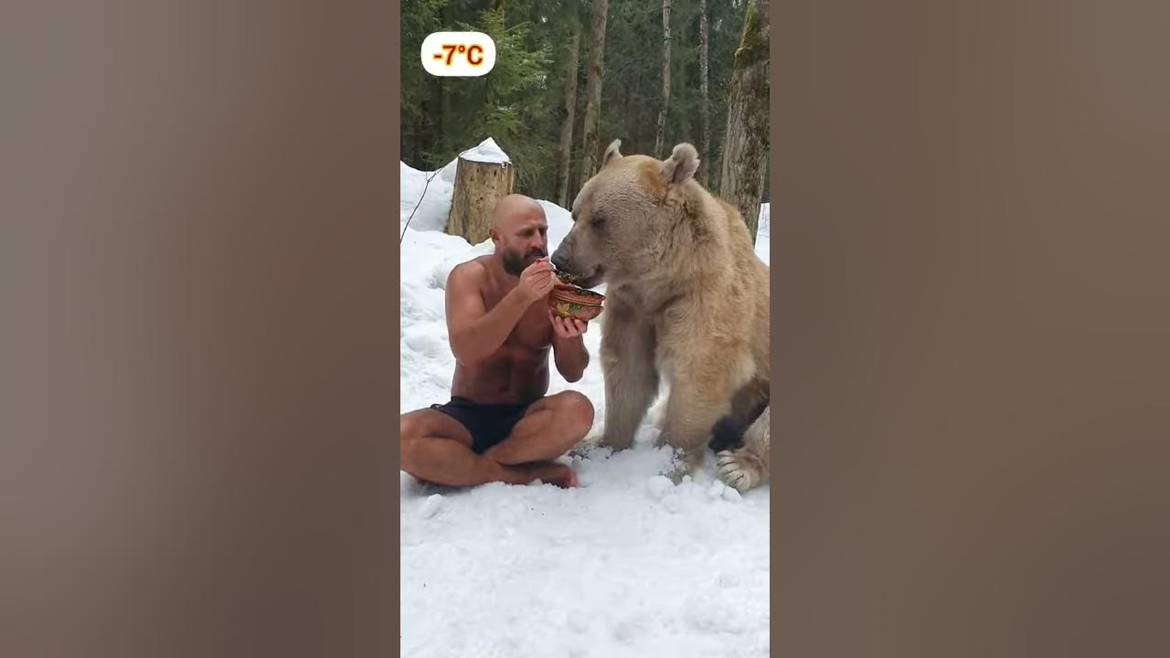 Кормит медведя