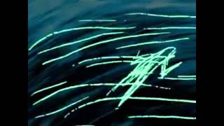 Brenky - Go Easy