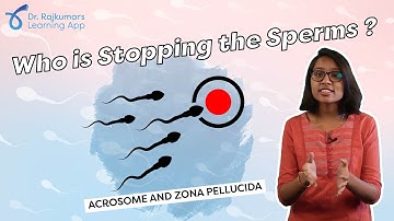 II PUC:Who’s stopping the Sperms|Dr.Rajkumar