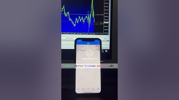 🤖 AI Trading Bot #forex #automatedtrading #ea #mt4 #mt5 #expertadvisor #expertadvisors #crypto