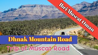Dhank Mountain Road Ibri Muscat Omantravel Vlog