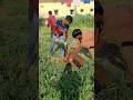 Wildest Holi Ever 🤦‍♂️#minivlog #ytshorts #vlog #funny #holi