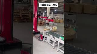 Palletizing Robot