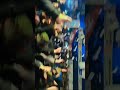 wukla k Jeet k bad celebrations. #legal #lahore #lahorenewshd #lawyer