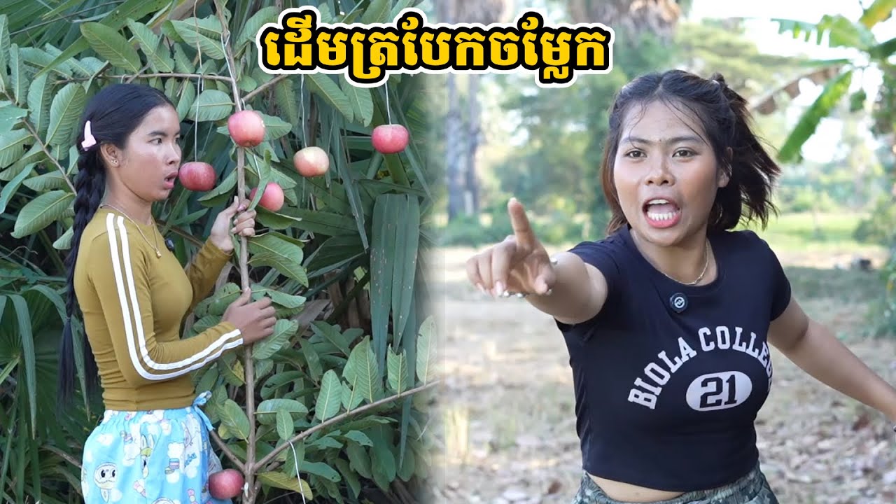 រឿង ដើមត្របែកចម្លែក