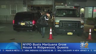 Marijuana Grow House Busted In Queens