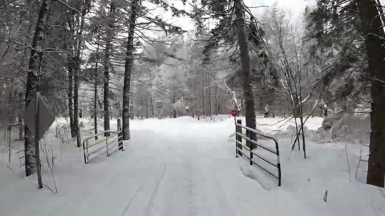 Nice ride good trails