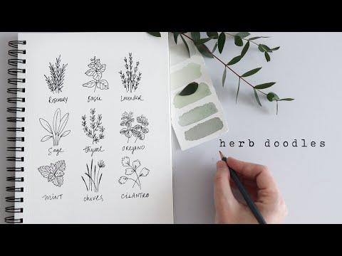 How To Draw Herbs | Fun Beginner Doodles