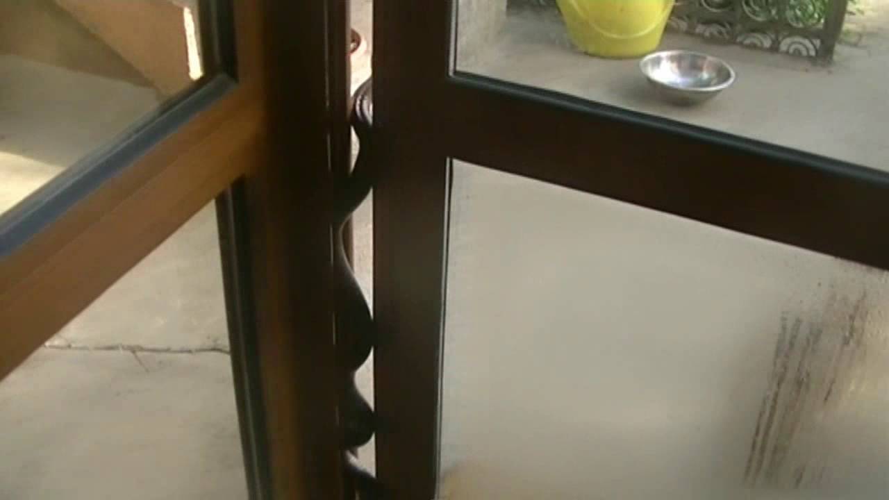 Huge snake opens a glass door YouTube