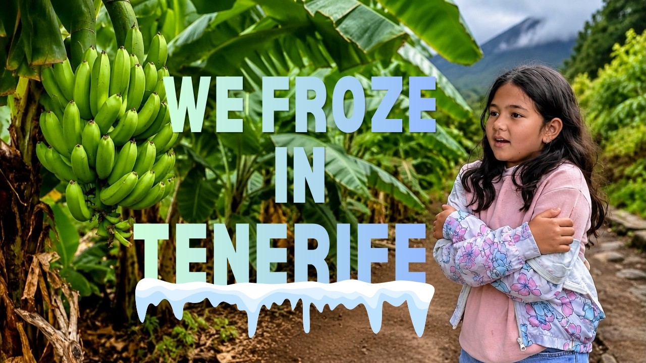 They Said Tenerife Was Summer All Year...We Froze | Tenerife in November