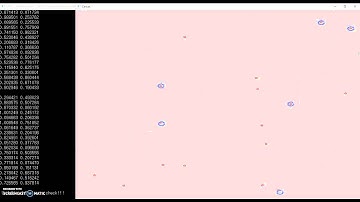 PDAF (Probabilistic Data Association Filter) Test 1