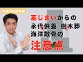 【老舗石材店監修】墓じまいをきっかけに新しい永代供養の形/永代供養/樹木葬/海洋散骨