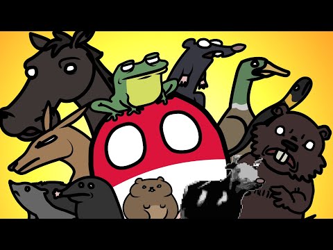 COUNTRYBALLS #72 | Polish Zoo (collection)