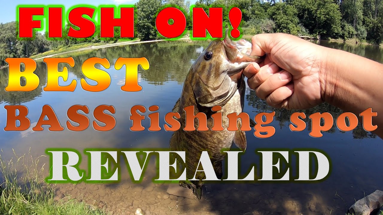 BEST Bass Fishing Spot near Toronto REVEALED🐟