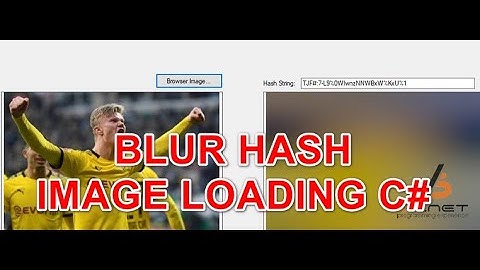 [C#] Blur hash wait loading image in Winform